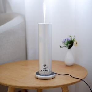 Silver Diffuser - Afbeelding 2